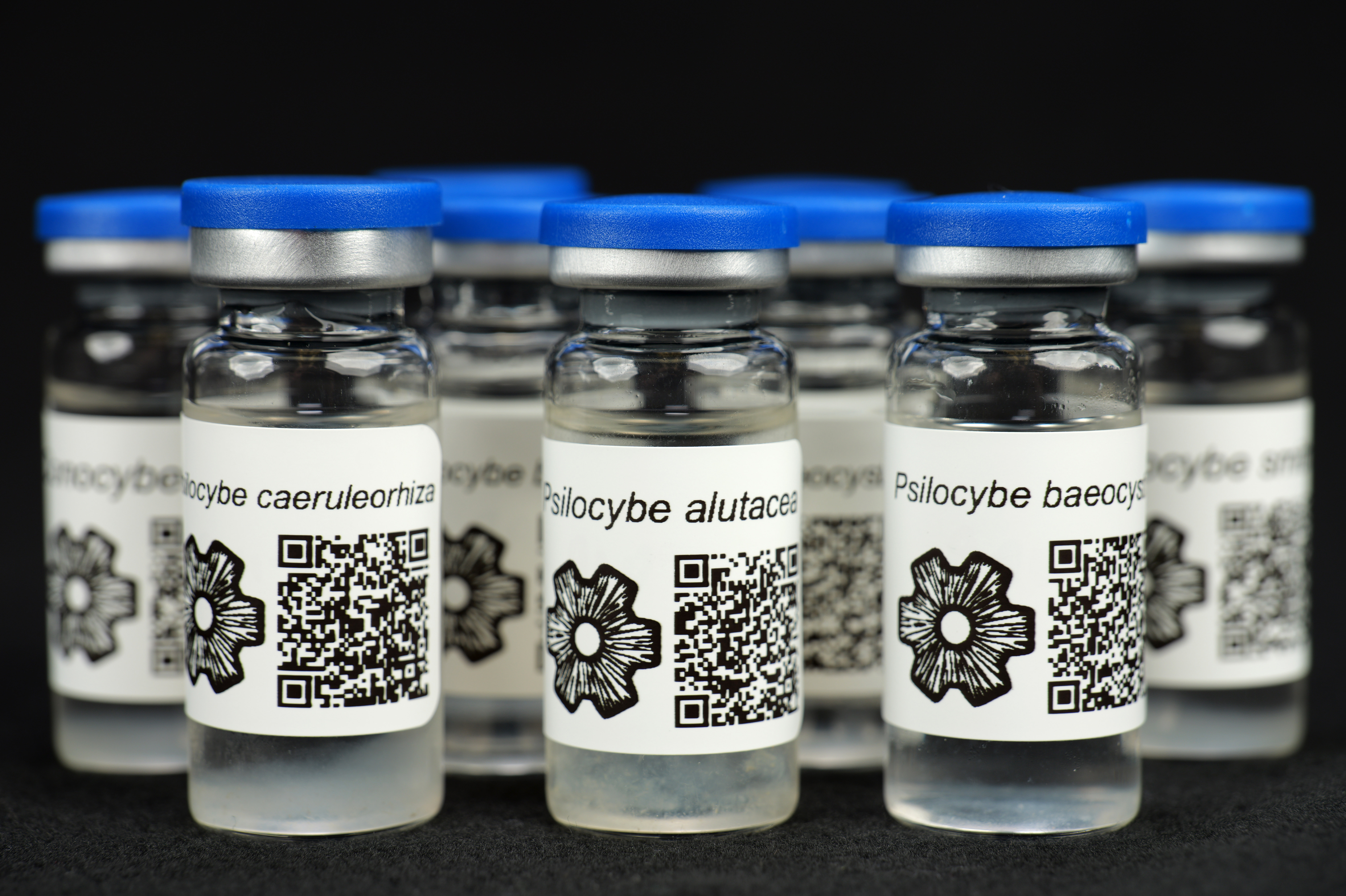 Complete Collection : 13 MycoTrue(TM) Isolate Vials